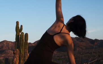 Guided desert hiking at Amanvari, Mexico: a hiker stretches beneath clear skies amongst saguaro cacti.