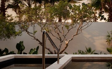 Spa hydrotherapy area at Amanvari with sculptural tree and shallow reflecting pool.