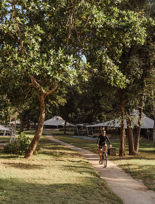 Shaded pathway through mature trees at Amanwana, with a figure walking in dappled sunlight.