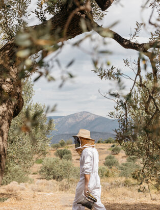 Amanzoe_Bee Museum &amp; Olive Oil