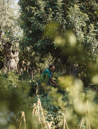 Amanzoe_Organic Garden
