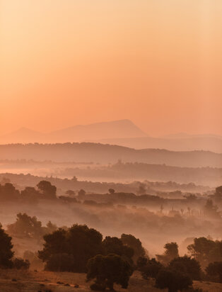 Amanzoe_Property &amp; Architecture