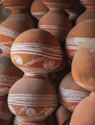 Aman-i-Khas, Village Tour, experience