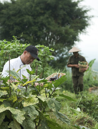 Amanjiwo, Sustainability