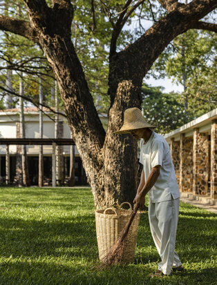 Woman in white linen standing beside ancient tree at Amansara, Cambodia.