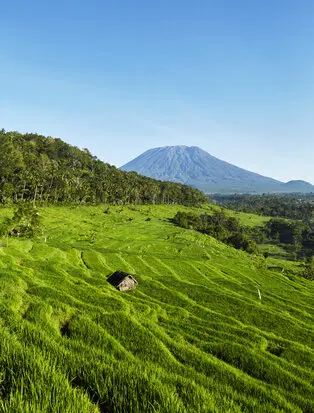 Amankila