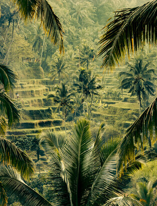 Amandari, Indonesia
