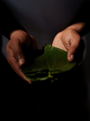 amanwella_sri_lanka_resort