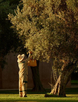 amanjena_morocco
