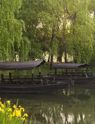 amanyangyun-china