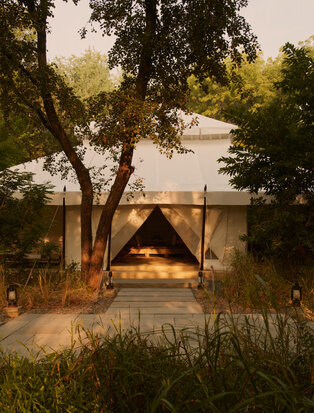 Cream canvas tent at Aman-i-Khas with warm lighting at dusk, framed by trees and natural landscape.
