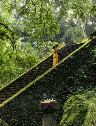 Ivy-covered wall at Amandari with a yellow rope and tropical foliage overhead.