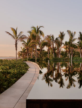 Curved poolside pathway with palm trees reflected in still water at Amanvari, Mexico.
