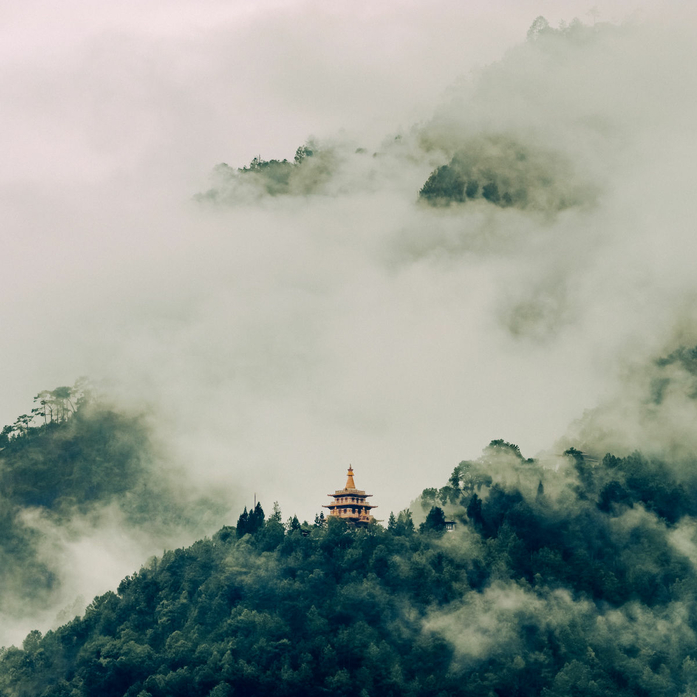 HDamankora-06171-RW2_DxO_DeepPRIME-