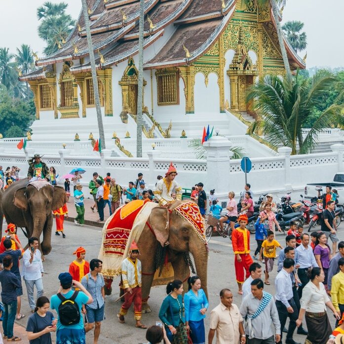 Elephant parade at Amantaka with monks and visitors gathering around a decorated elephant in front of a golden temple, Luang Prabang.