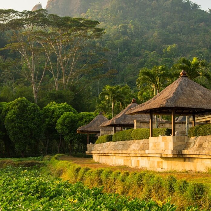 Amanjiwo's open-sided bale overlooks emerald rice fields and forested hills in Indonesia.