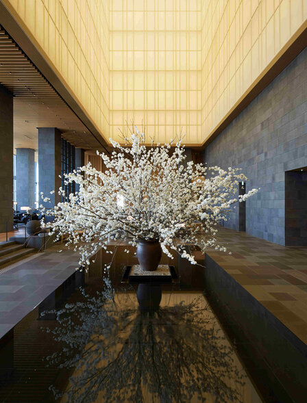 Sakura_Aman Tokyo_Spring