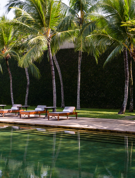 Swimming pool at Amangalla surrounded by tall palm trees and wooden loungers.