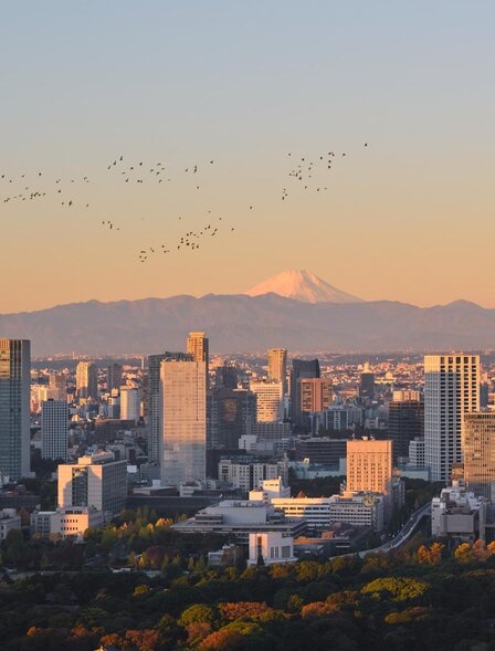 アマン東京からの眺め、富士山を望む東京の街並み。夕焼けに染まるビル群と山々。