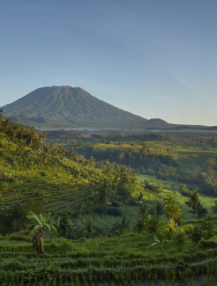 Mount Agung rises beyond emerald ricefields at Amankila resort, Bali.