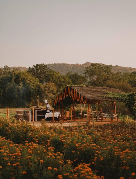 Aman-i-Khas, India - Experience