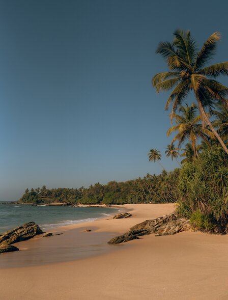 Amanwella's quiet beach with golden sand, calm waters and palm trees under clear skies.