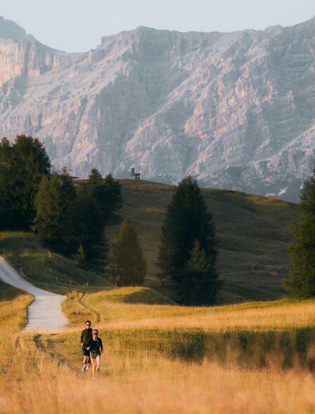 Skyrunner on alpine meadow with winding path and mountain backdrop at Aman Rosa Alpina, Italy.