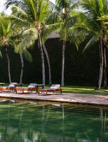 Wooden platform beside a tranquil pool at Amangalla, flanked by towering palm trees in Sri Lanka.