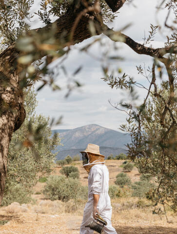 Amanzoe_Bee Museum &amp; Olive Oil