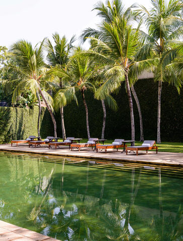 Sunbeds lined beside a still pool at Amangalla, Sri Lanka, framed by tall palm trees.