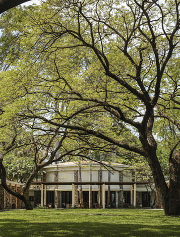 Amansara's courtyard framed by colonnades with a sprawling tree at centre and manicured lawn.