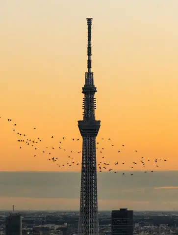 Aman Tokyo