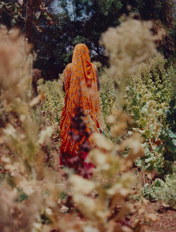 Person in orange robes walking through wild grasses at Amanbagh, India.