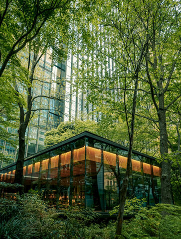 The Cafe by Aman forest exterior, a modern wooden structure nestled among tall trees at Aman Tokyo.