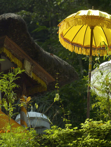 مظلة صفراء فوق منطقة جلوس محاطة بالنباتات الخضراء في أمانداري، منتجع أوبود، بالي.