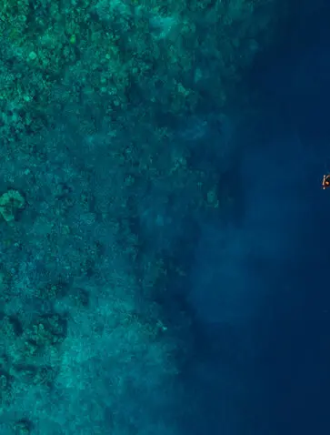 Aerial view of a snorkeller in turquoise waters off Amanwana, Indonesia.