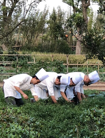 Chefs tending to an organic garden at Amanyangyun, China.