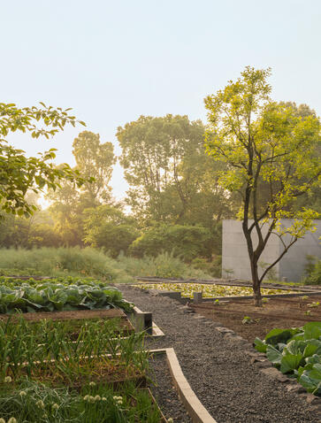Organic garden beds with young plants at Amanyangyun, China, bordered by curved pathways and mature trees.