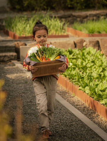 Child holding wooden crate of fresh vegetables in Amanyangyun's organic garden.