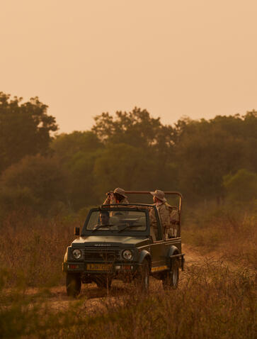 Safari vehicle traversing golden grassland at Aman-i-Khas, India, at dusk.