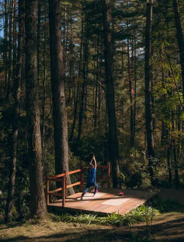 Yoga platform set amongst tall forest trees at Amankora's Thimphu lodge.