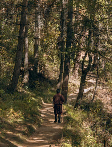 Hiker on a shaded forest trail during the Wangditse walk at Amankora, Thimphu.