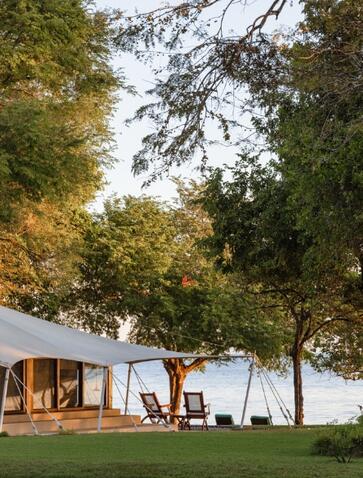 White canvas pavilion beneath towering trees at Amanwana, Bali.