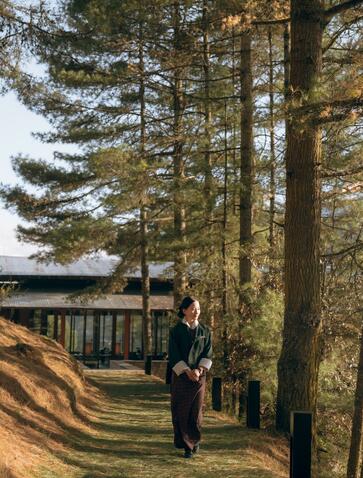 Guest walking amongst tall pine trees towards a wooden building at Amankora in Gangtey, Bhutan.