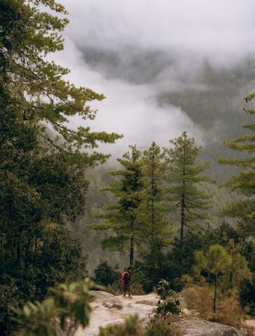 Lunch spot on the Paro Dodedrak hike at Amankora, with mist-shrouded mountains and pine forest.