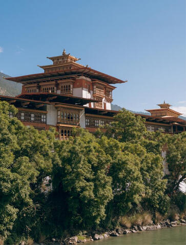 Punakha Dzong's golden roof and timber architecture rises above the river at Amankora, Bhutan.