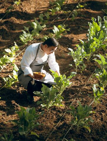 Staff member tending to plants in the garden at Amankora, Thimphu.