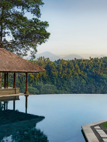 منصة خشبية تطل على بحيرة هادئة محاطة بالغابات الكثيفة في منتجع أمانداري.