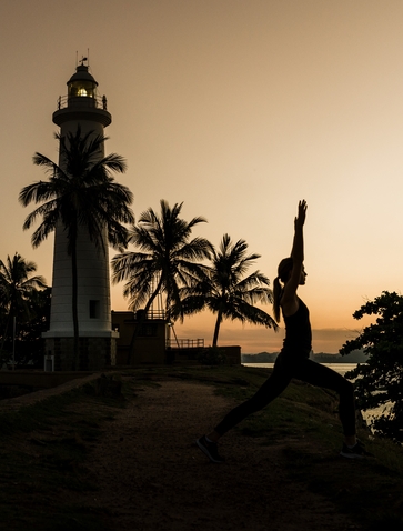 Silhouetted palm trees and colonial architecture at Amangalla at sunset in Sri Lanka.