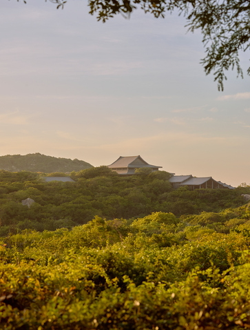 Amanoi's main pavilion set amongst verdant hills and yellow flowering landscape in Vietnam.